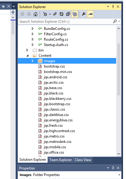 ASP .NET MVC5 - Scripts